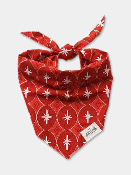 Bandana d'Hiver pour chien - Motif Cranberry - The Paws