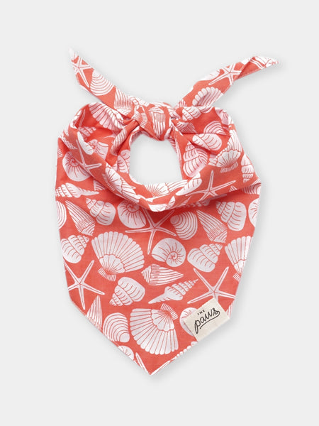 Bandana pour chien - Flores Shell - The Paws