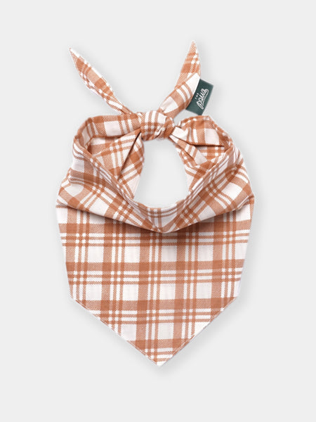 Bandana pour chien