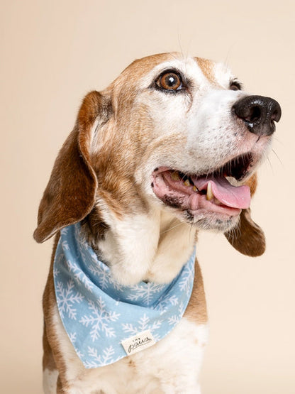 Bandana d'Hiver pour chien - Flocon ❄️ - The Paws