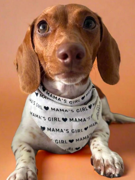 Bandana pour chien - Mama's Girl - The Paws