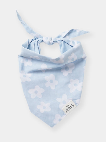 Bandana pour chien - Noah - The Paws
