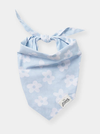 Bandana pour chien