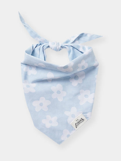 Bandana pour chien - Noah - The Paws