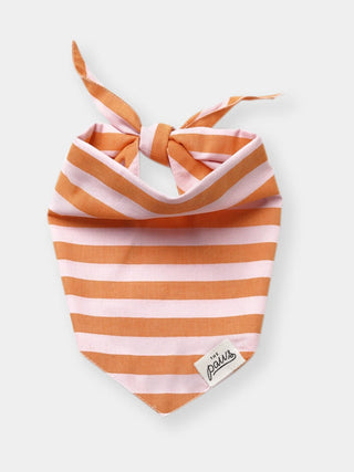 Bandana pour chien