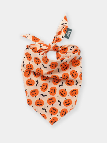 Bandana pour chien - Pupkin - The Paws