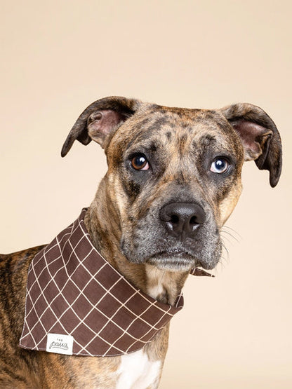 Bandana pour chien - Stratford - The Paws