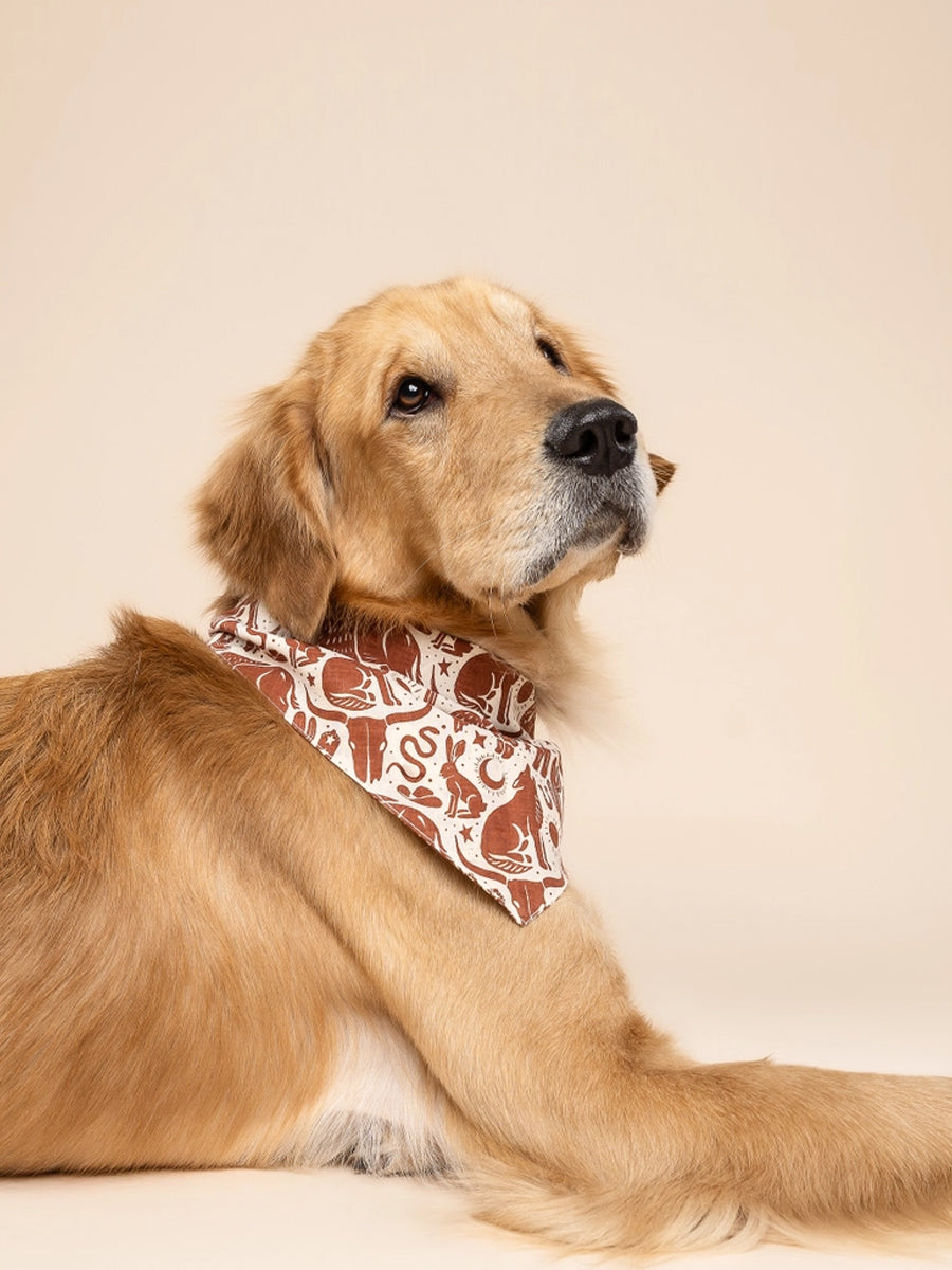 Bandana pour chien - Western Wild - The Paws