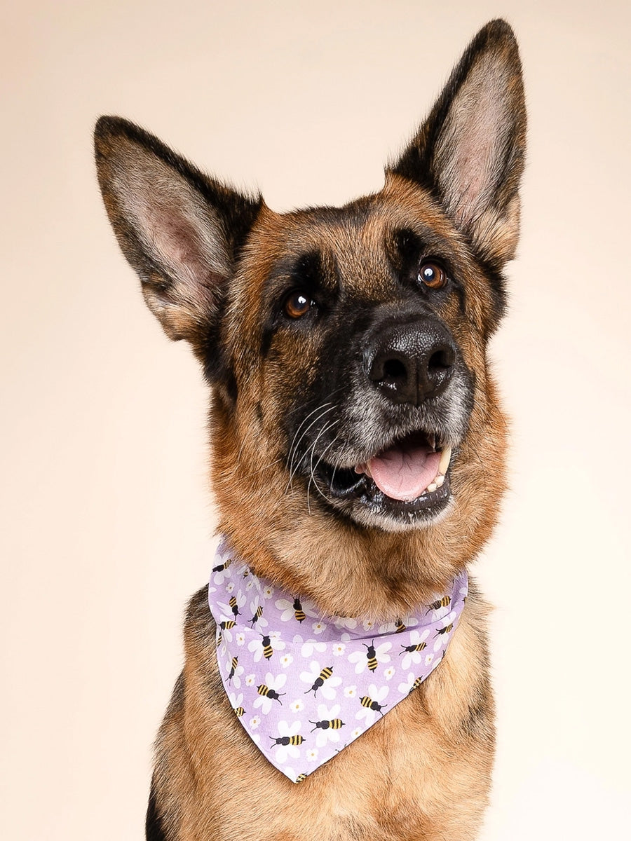 Bandana pour chien - Abeille - The Paws