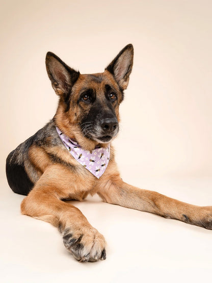 Bandana pour chien - Abeille - The Paws