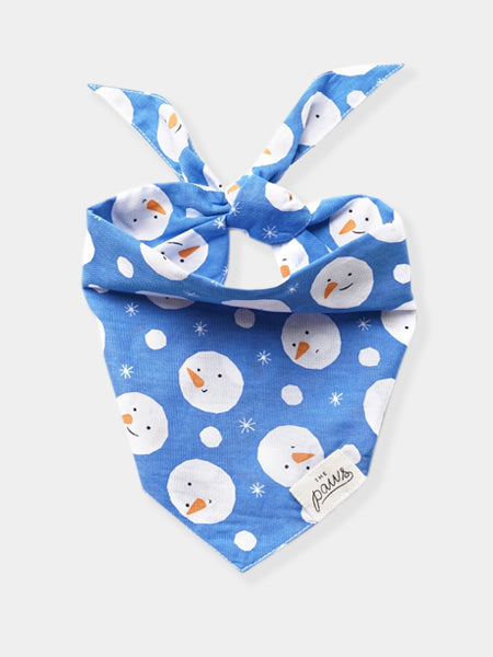 Bandana d'Hiver pour chien - Motif Chilly - The Paws