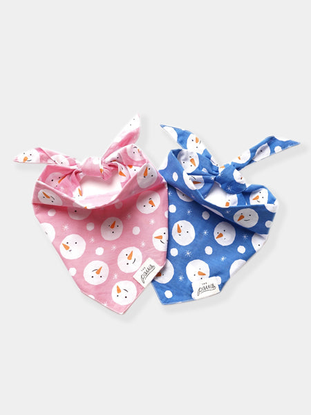 Bandana d'Hiver pour chien - Motif Chilly - The Paws