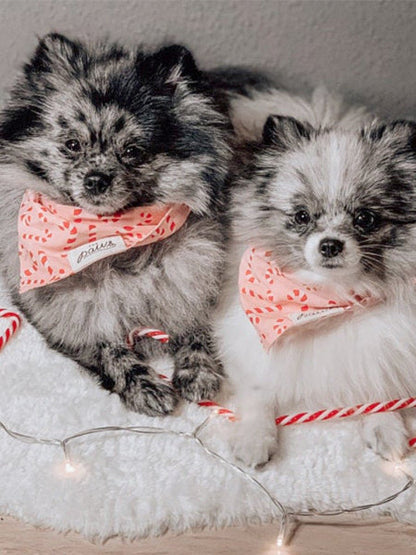 Bandana de Noël pour chien - Motif Candyland Rose - The Paws