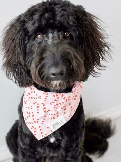 Bandana de Noël pour chien - Motif Candyland Rose - The Paws
