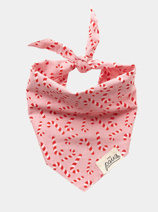 Bandana de Noël pour chien