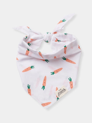 Bandana pour chien