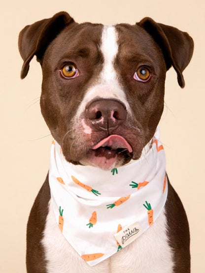 Bandana pour chien - Motif Carotte 🥕 - The Paws