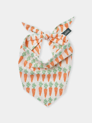 Bandana pour chien
