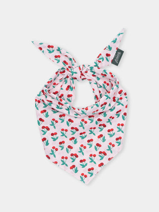 Bandana pour chien