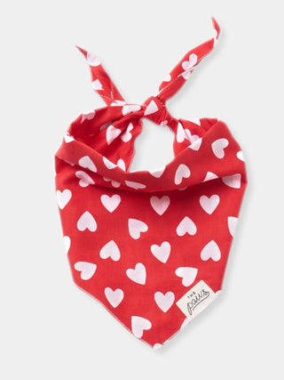 Bandana pour chien