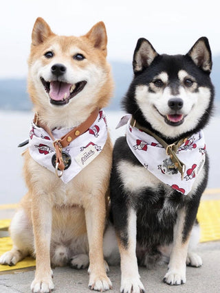 Bandana pour chien