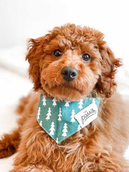 Bandana pour chien - Motif Forest Sapin - The Paws