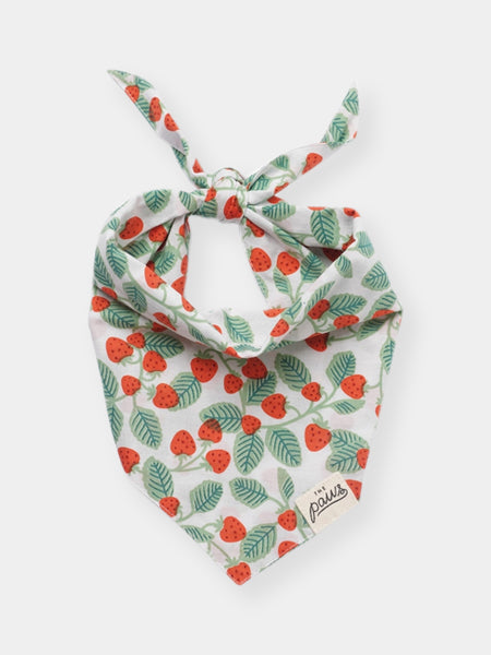 Bandana pour chien - Henley - The Paws