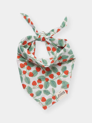 Bandana pour chien