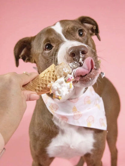 Bandana pour chien - Motif Ice Cream 🍦 - The Paws