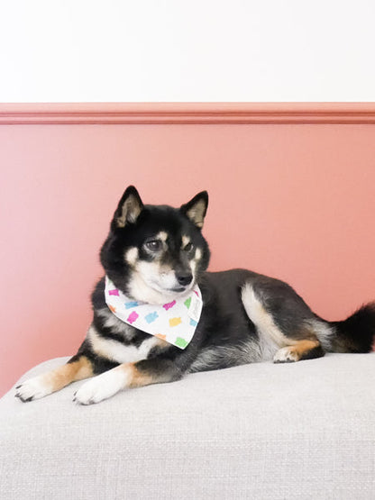 Bandana pour chien - Motif Gummi 🧸 - The Paws
