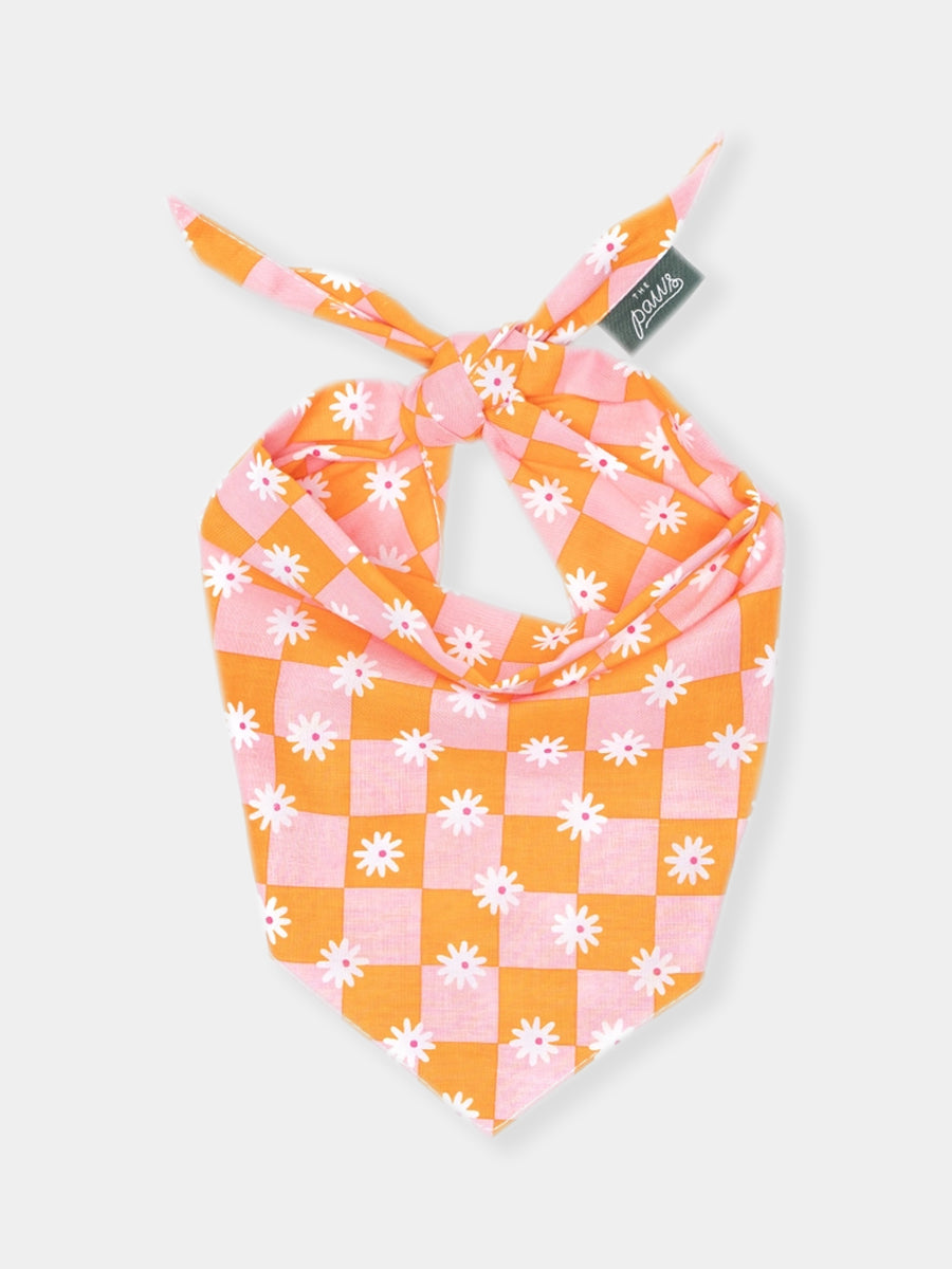 Bandana pour chien - Hula - The Paws