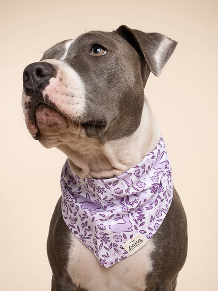 Bandana pour chien - Lapin de Pâques - The Paws