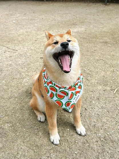 Bandana pour chien - Motif Pastèque 🍉 - The Paws