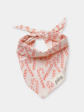 Bandana d'Hiver pour chien