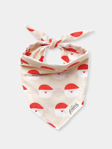 Bandana d'Hiver pour chien - Motif Santa - The Paws