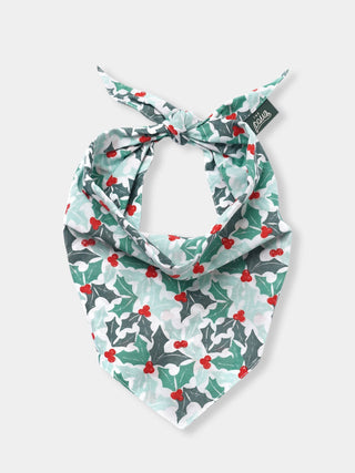 Bandana d'Hiver pour chien