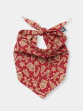Bandana d'Hiver pour chien