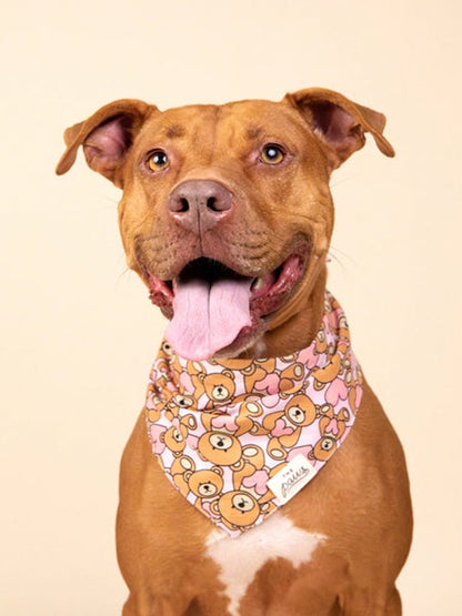 Bandana pour chien - Motif Fluff Dog -  The Paws