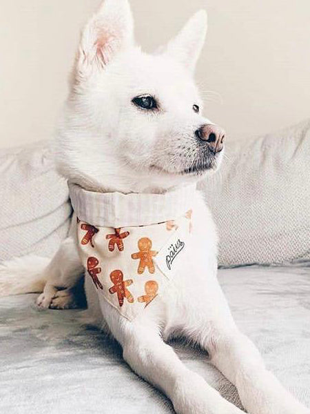 Bandana de Noël pour chien - Motif Little Ginger - The Paws