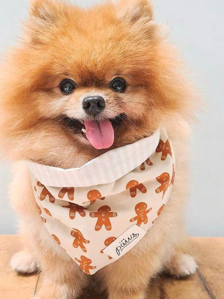 Bandana de Noël pour chien - Motif Little Ginger - The Paws