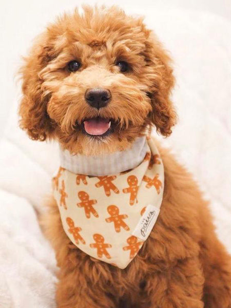 Bandana de Noël pour chien - Motif Little Ginger - The Paws