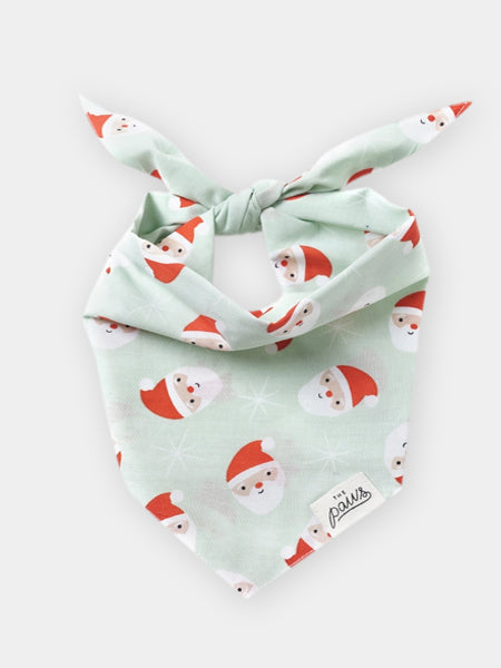 Bandana d'Hiver pour chien - Santa 🎅 - The Paws