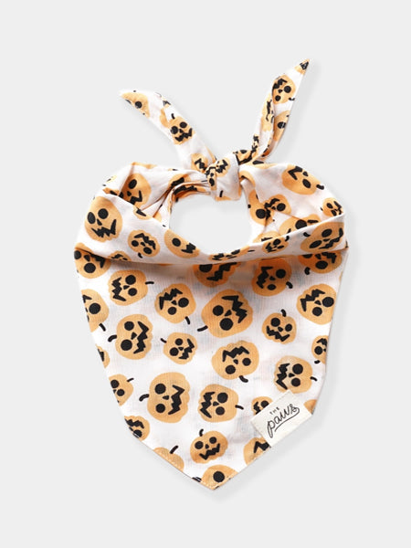 Bandana pour chien - Motif Pumpkin - The Paws
