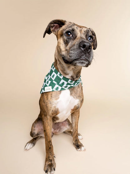 Bandana d'Hiver pour chien - Spruce 🌲 - The Paws