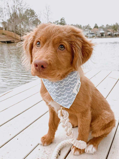 Bandana pour chien - Motif Vague - The Paws
