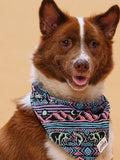 Bandana pour chien