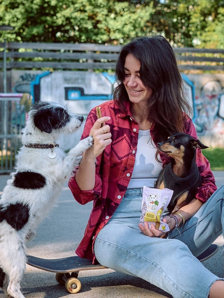 Friandises Vegan à mâcher pour chien - Mobilities - Vegdog