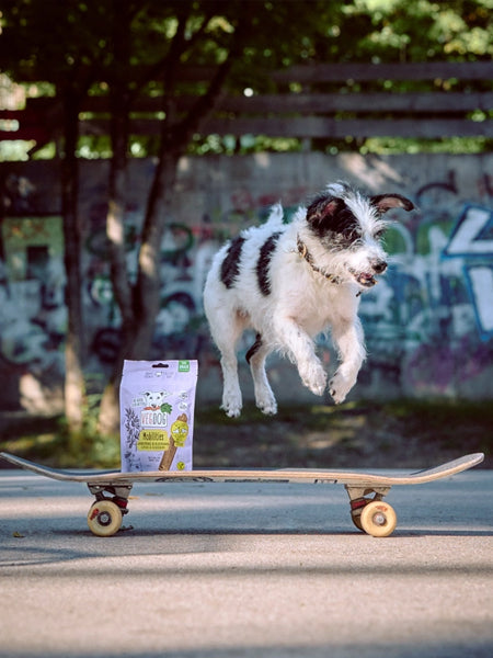 Friandises Vegan à mâcher pour chien - Mobilities - Vegdog