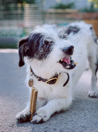 Friandises Vegan à mâcher pour chien - Mobilities - Vegdog