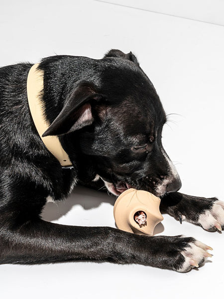 Balle Twist Toss pour chien - Beige - Wild One